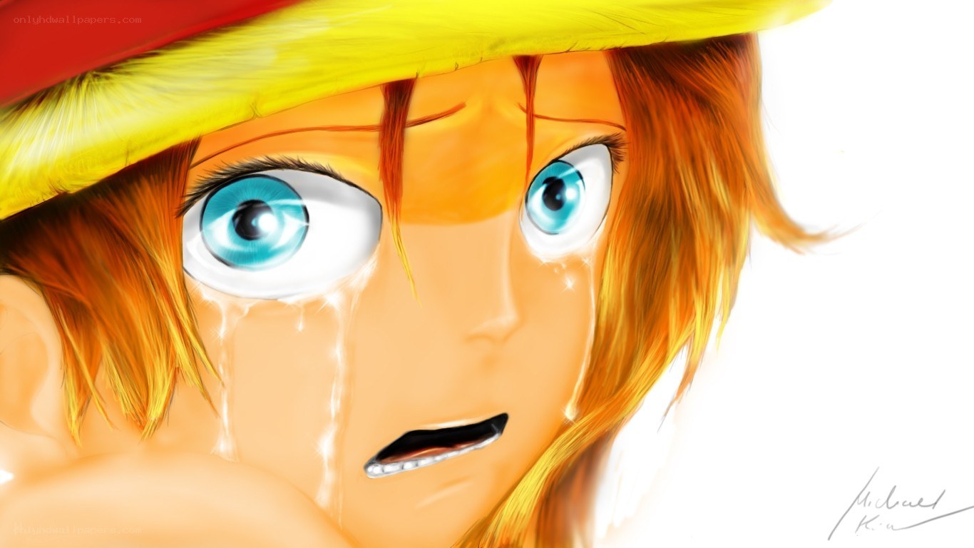 Luffy crying intensely