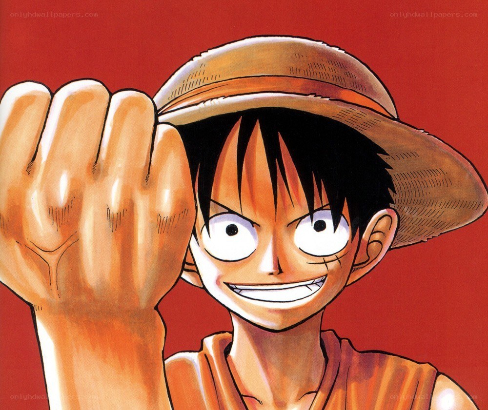 Luffy fist bump