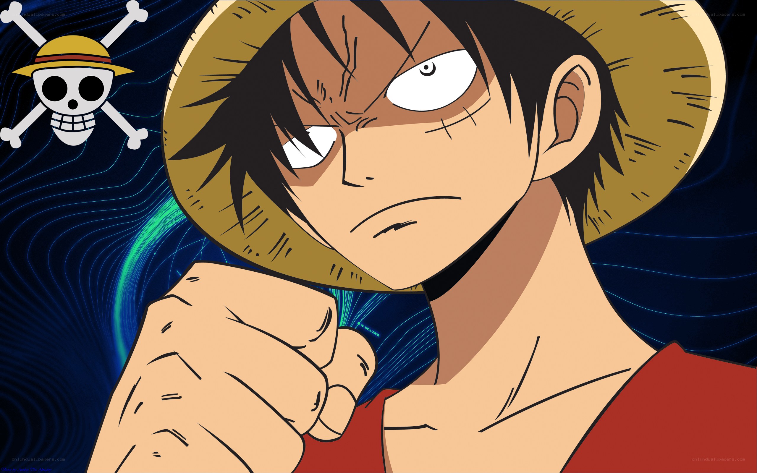 Luffy from One Piece
