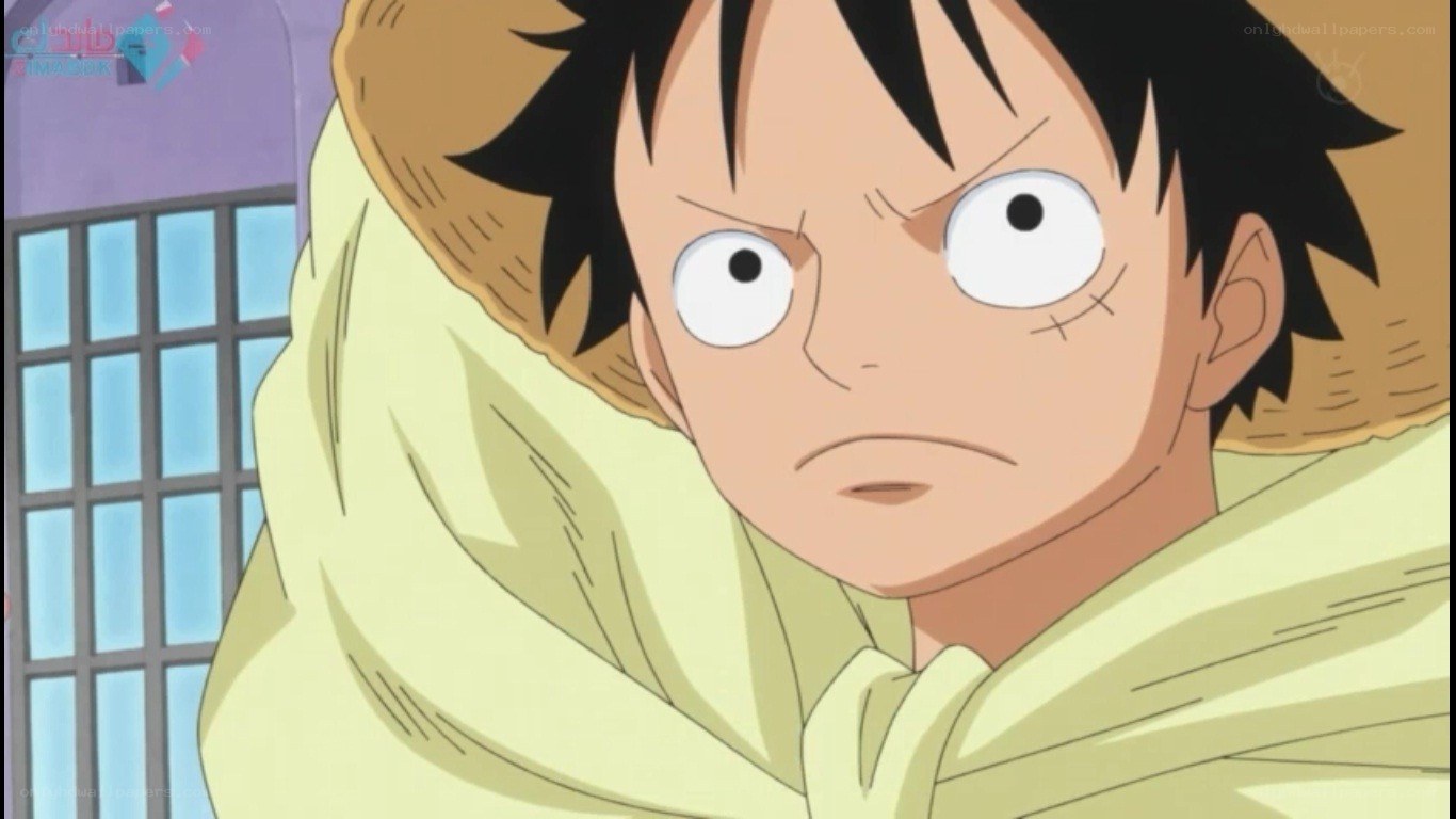 Luffy in a blanket