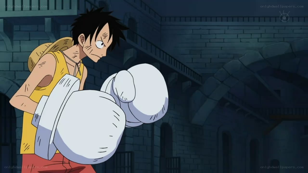 Luffy in a boxing stance