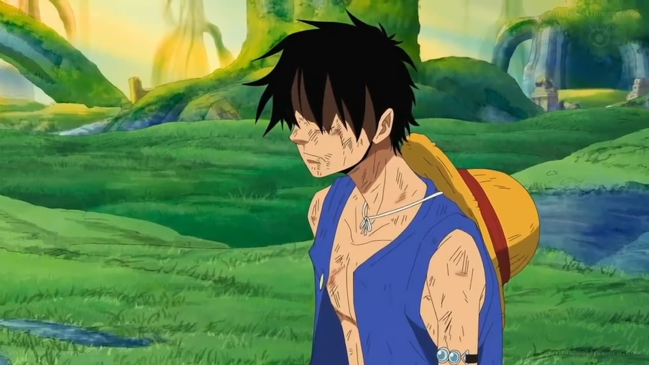 Luffy in a green field