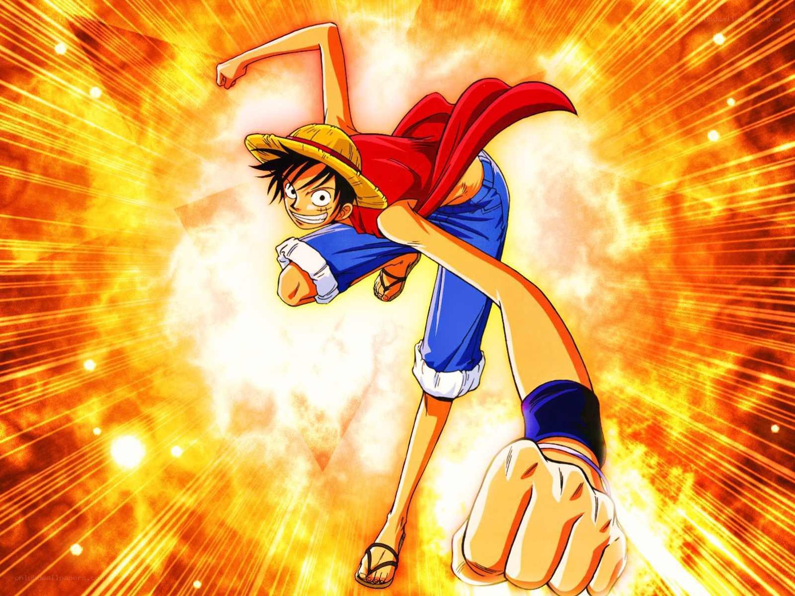 Luffy in action pose