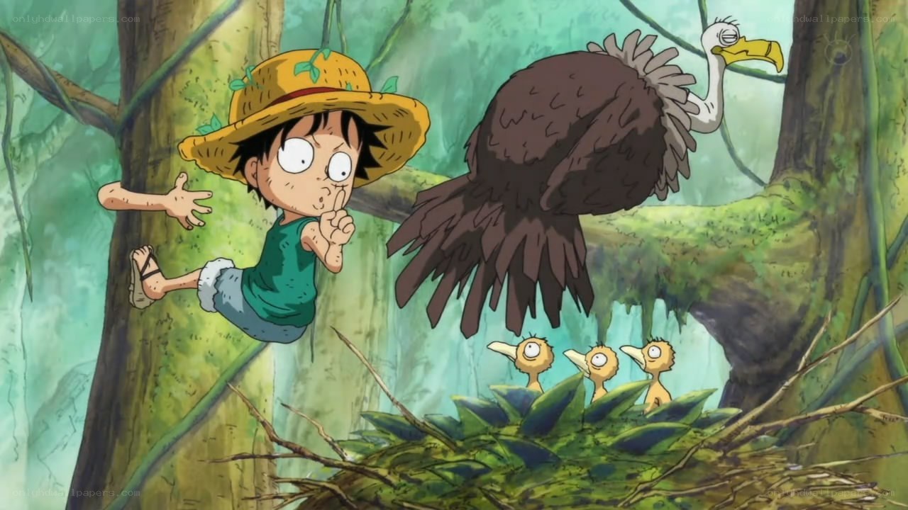 Luffy in the jungle