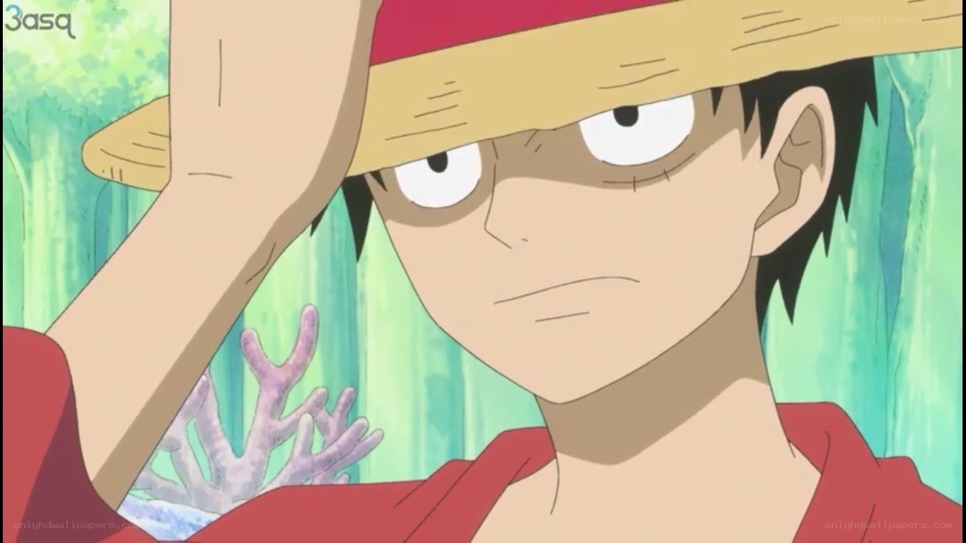Luffy in the jungle