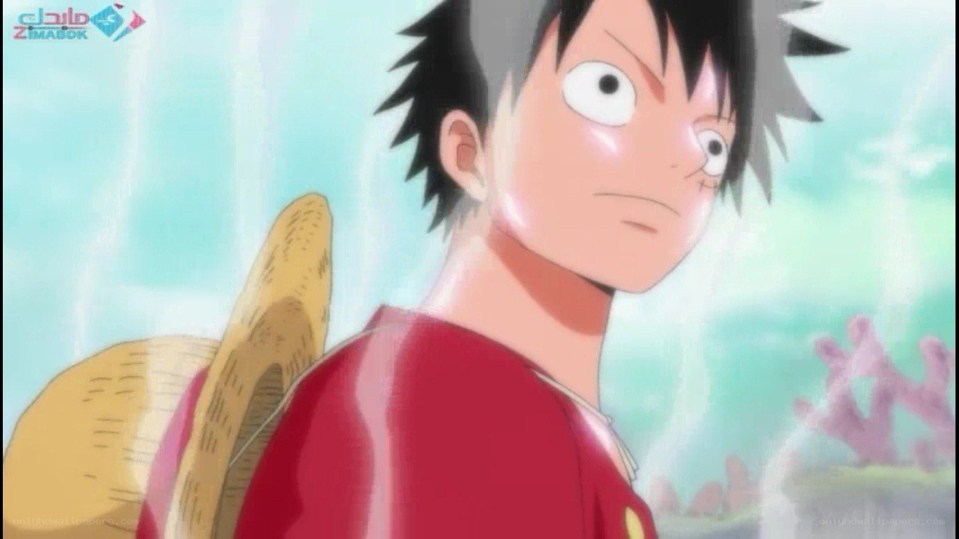 Luffy in the ocean
