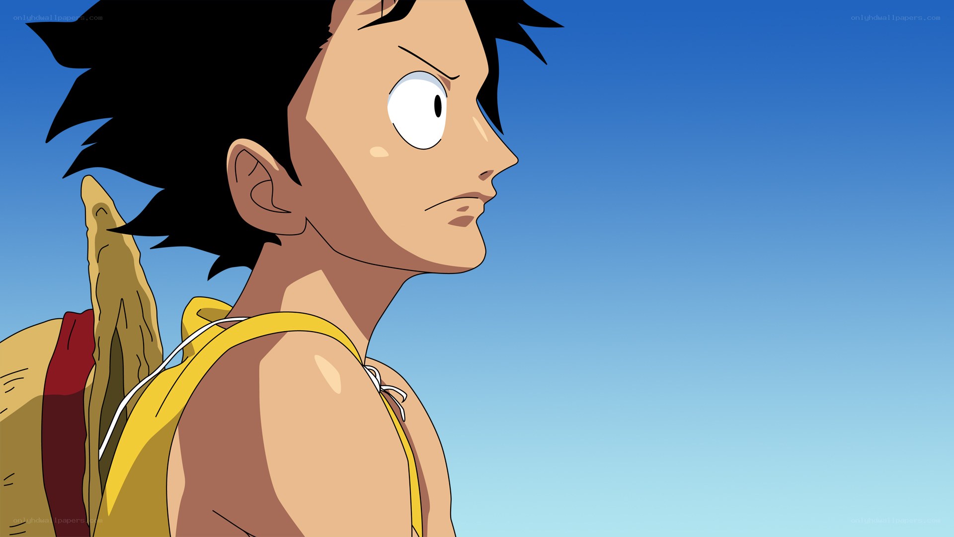 Luffy looking at the sky