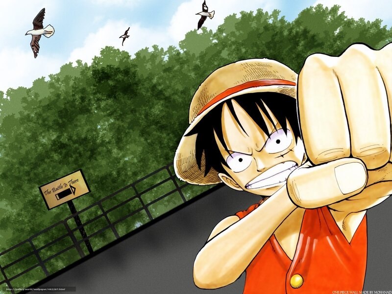 Luffy pointing forward