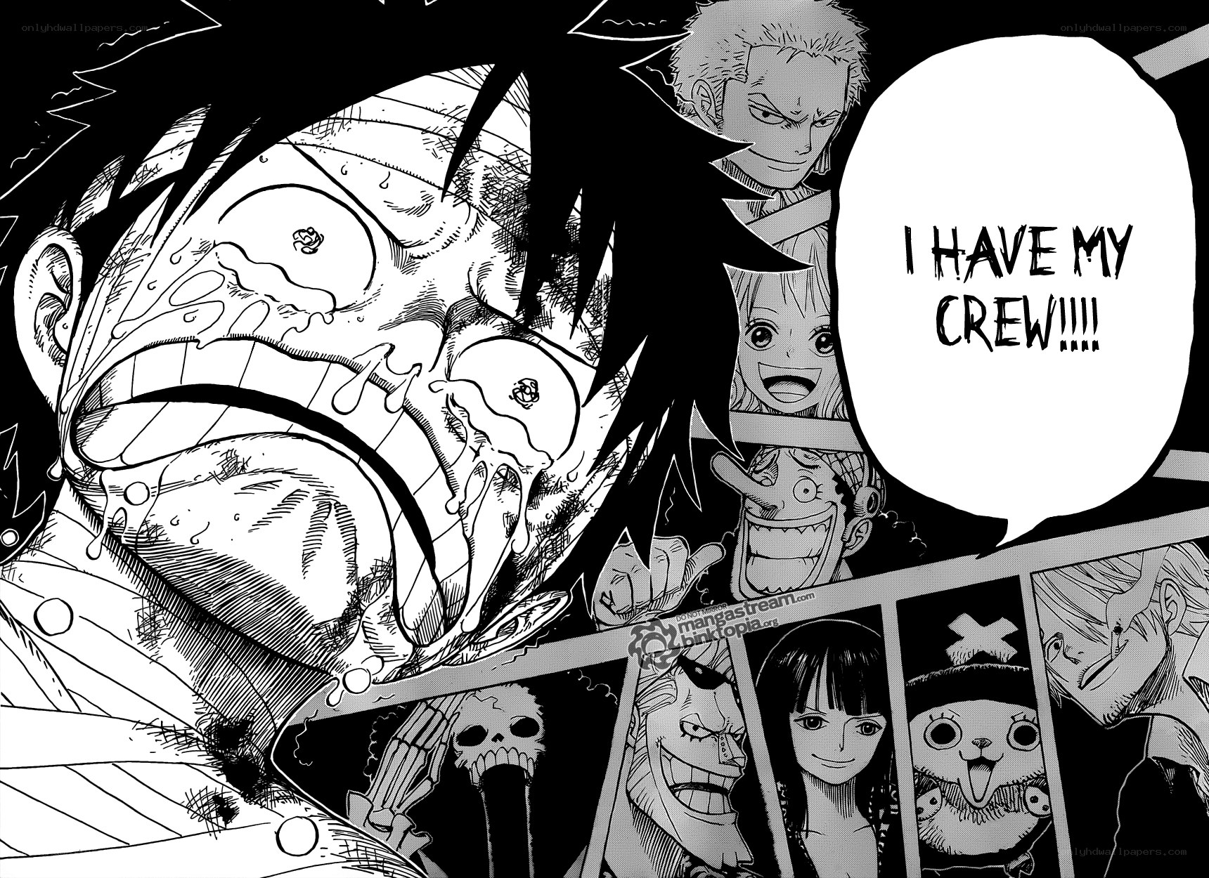 Luffy's crew motivation