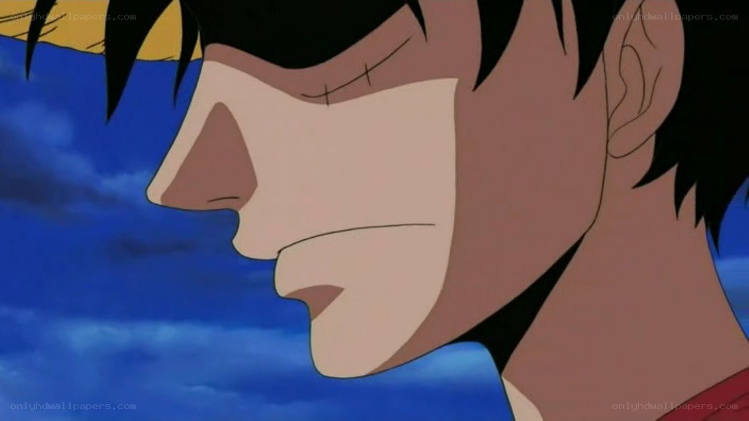 Luffy's determined face
