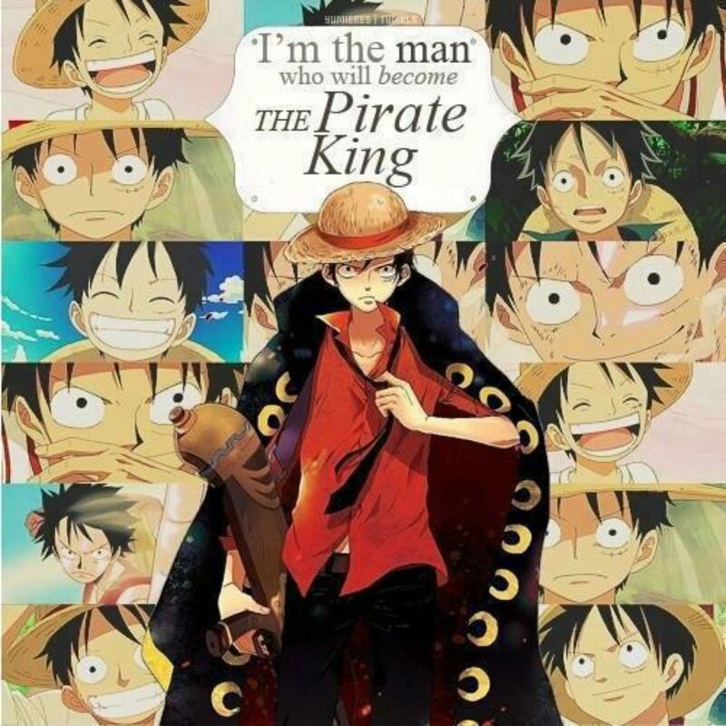 Luffy's journey to pirate king