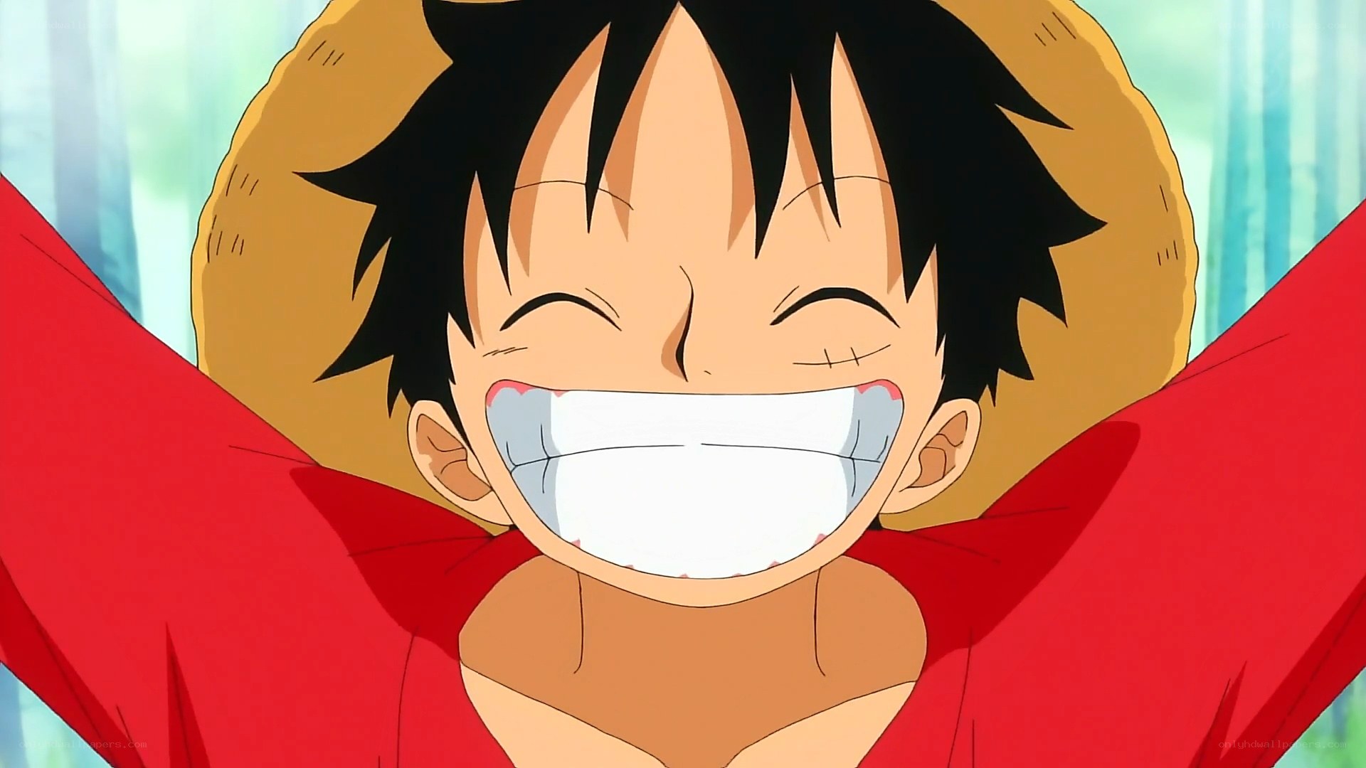 Luffy's joyful expression