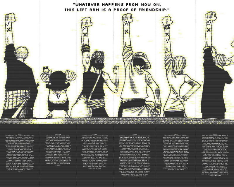 Luffy's Pirate Crew Profile