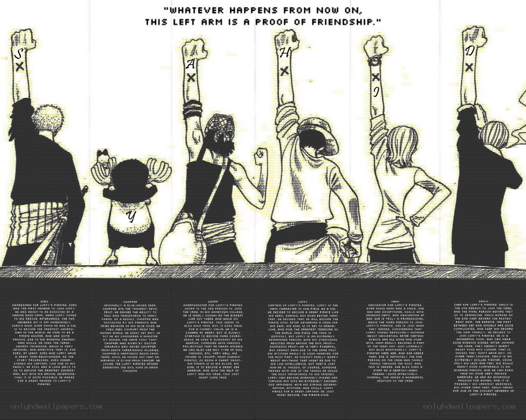 Luffy's Pirate Crew Profile