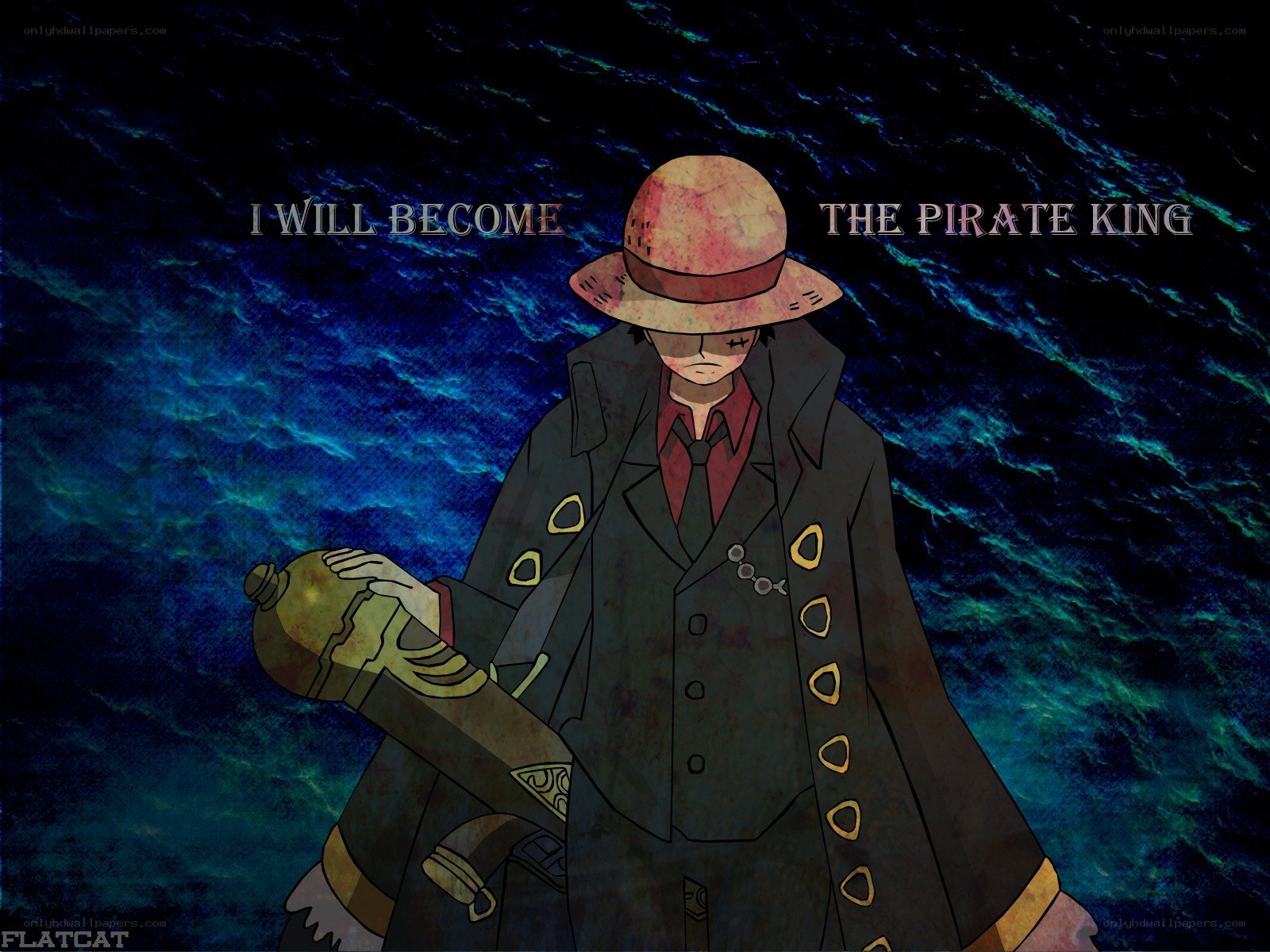 Luffy's Pirate King Promise