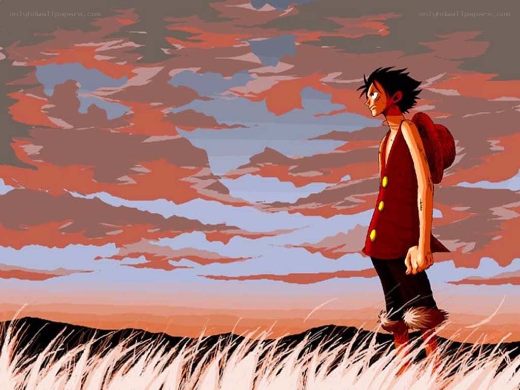 Luffy stands in a field