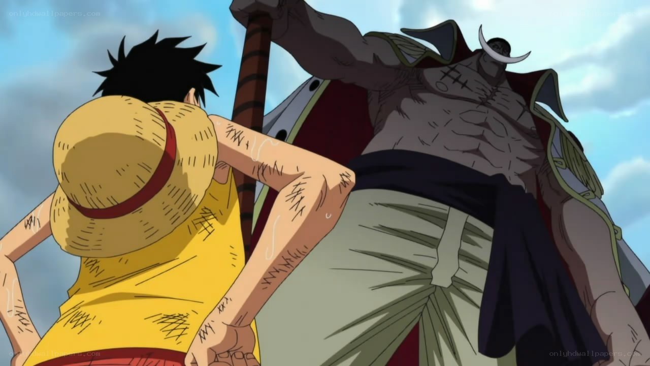 Luffy vs. Kaido battle
