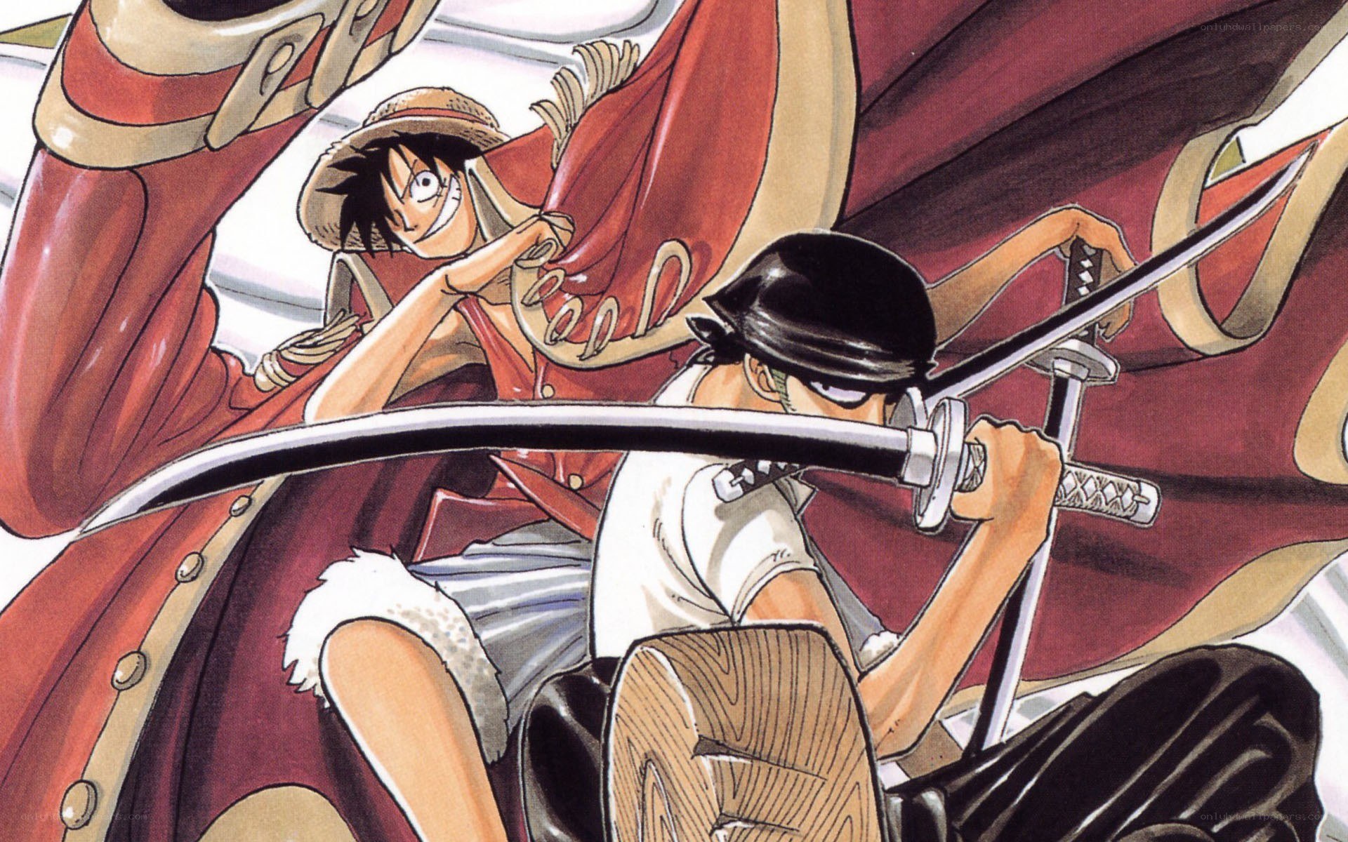Luffy vs Zoro battle scene