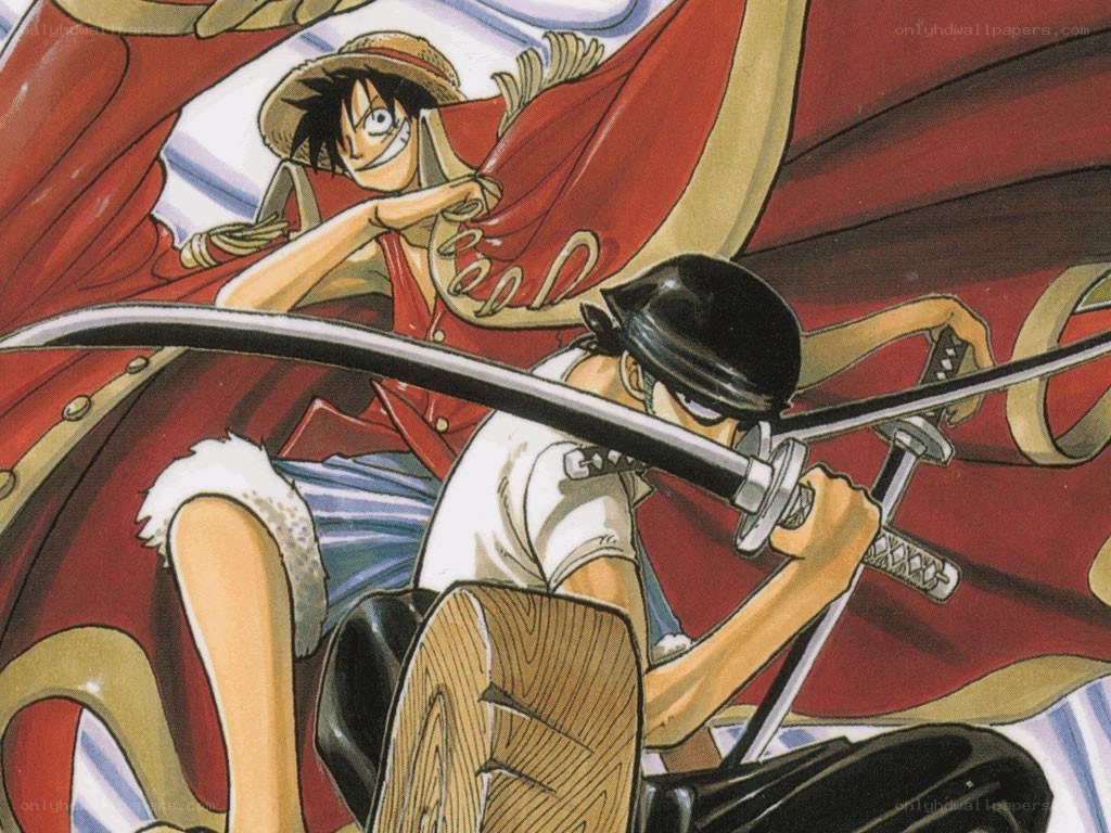 Luffy vs Zoro battle scene