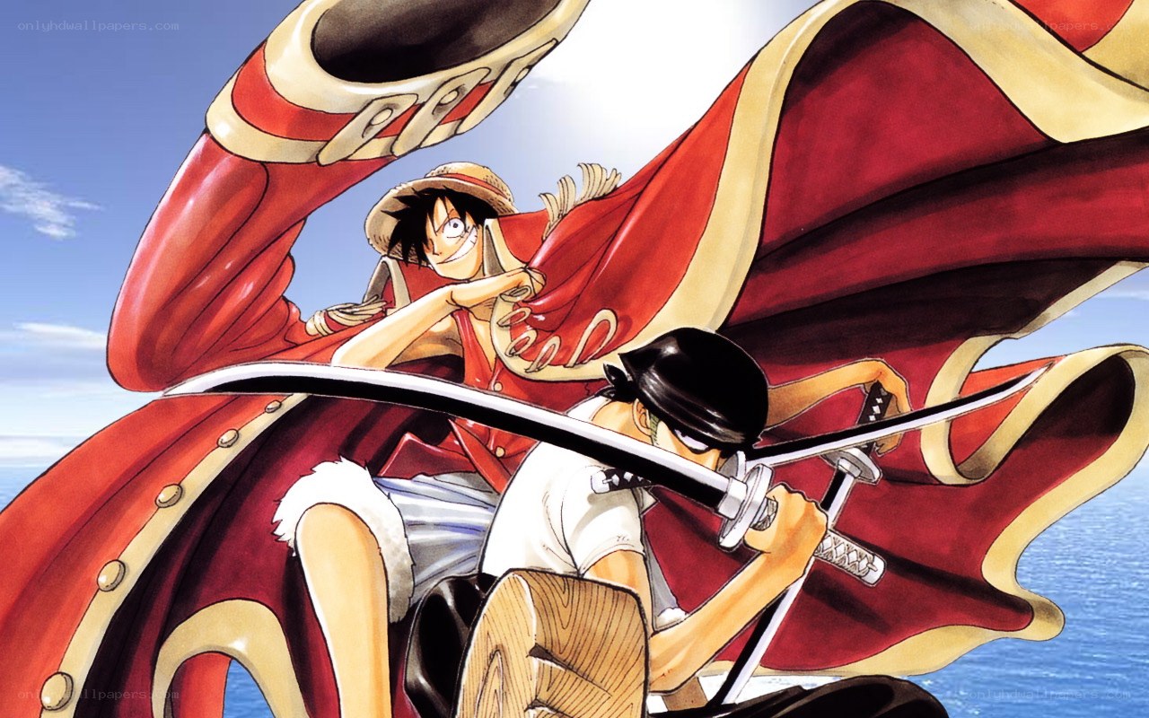 Luffy vs Zoro battle