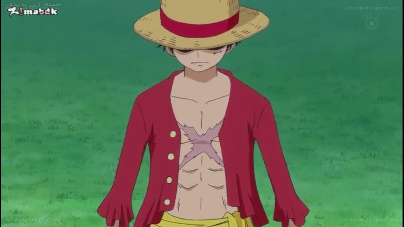 Luffy with scarred chest