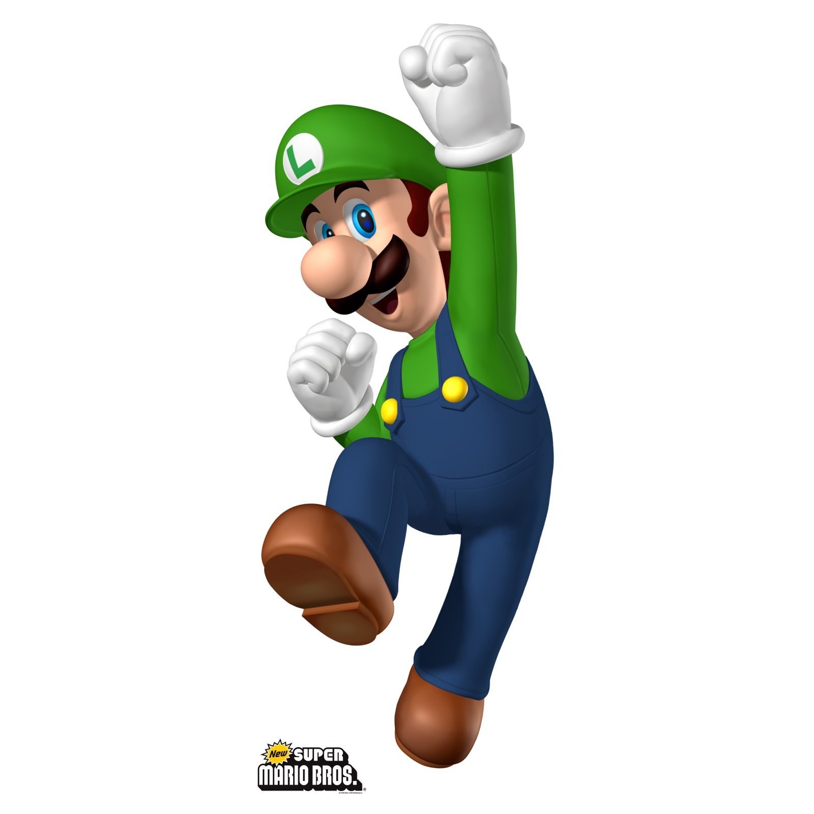 Luigi from New Super Mario Bros.