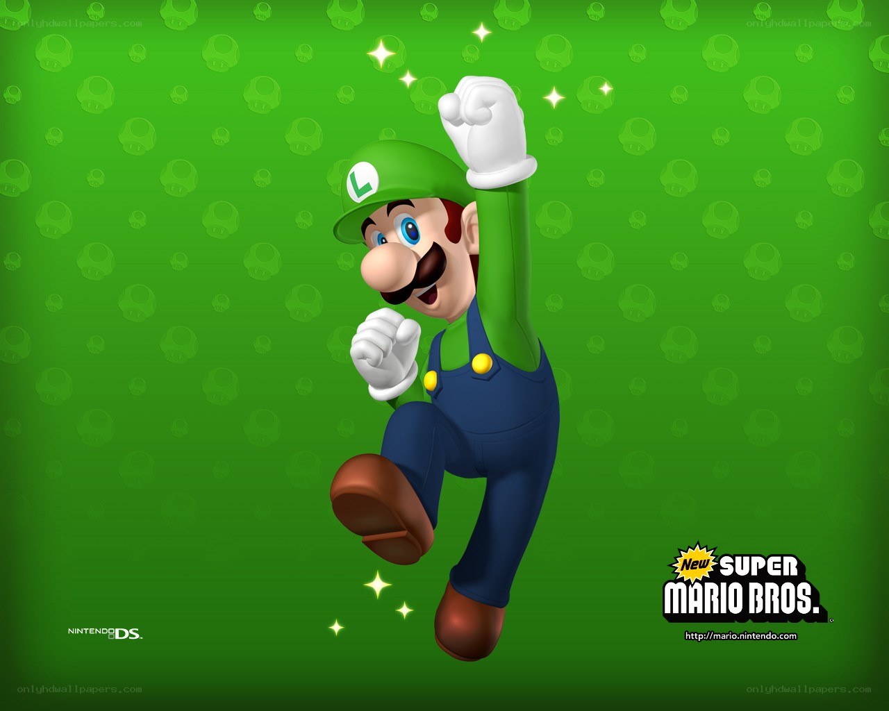 Luigi from New Super Mario Bros.