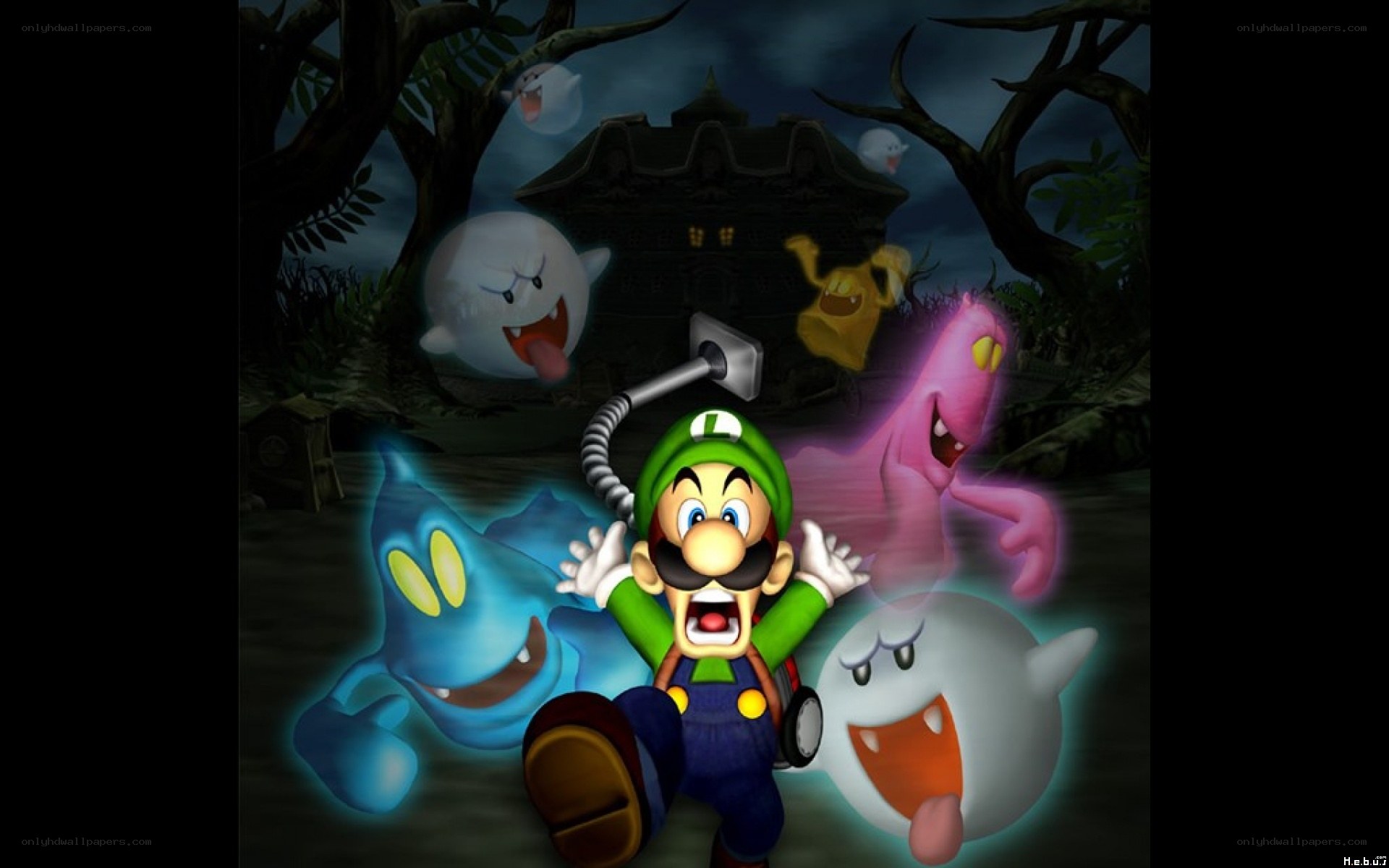 Luigi in a haunted house