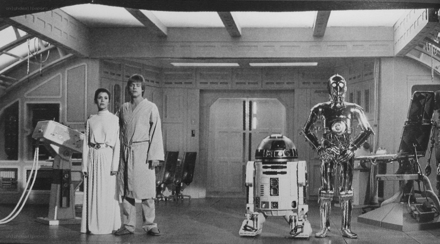 Luke and Leia with droids