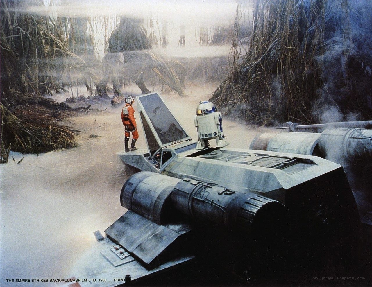 Luke and R2-D2 on Endor