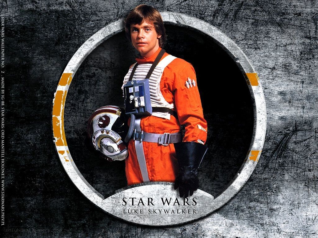 Luke Skywalker in X-wing suit