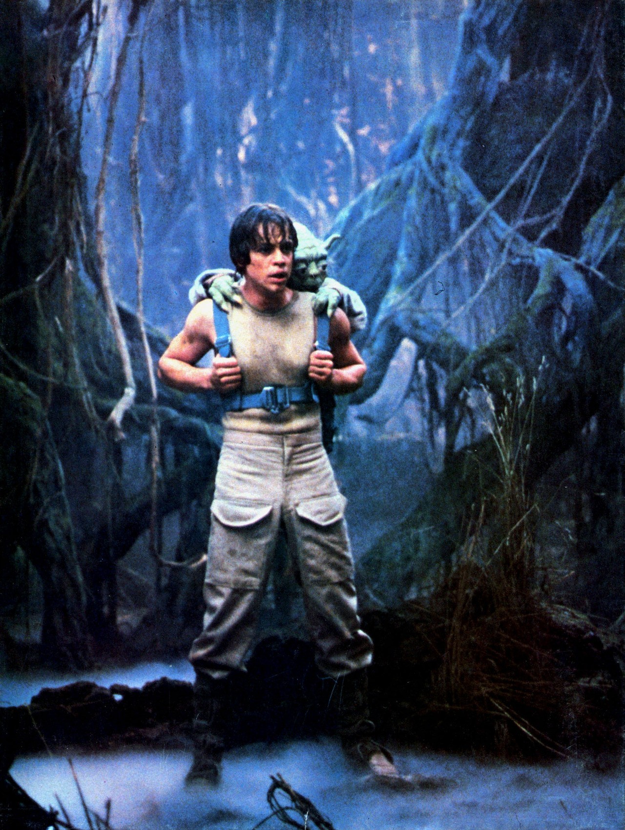 Luke Skywalker on Dagobah