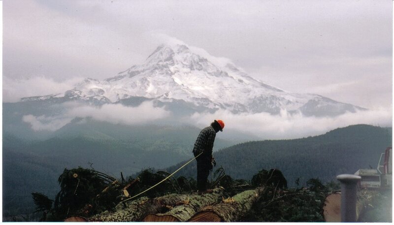 Lumberjack with mountain view