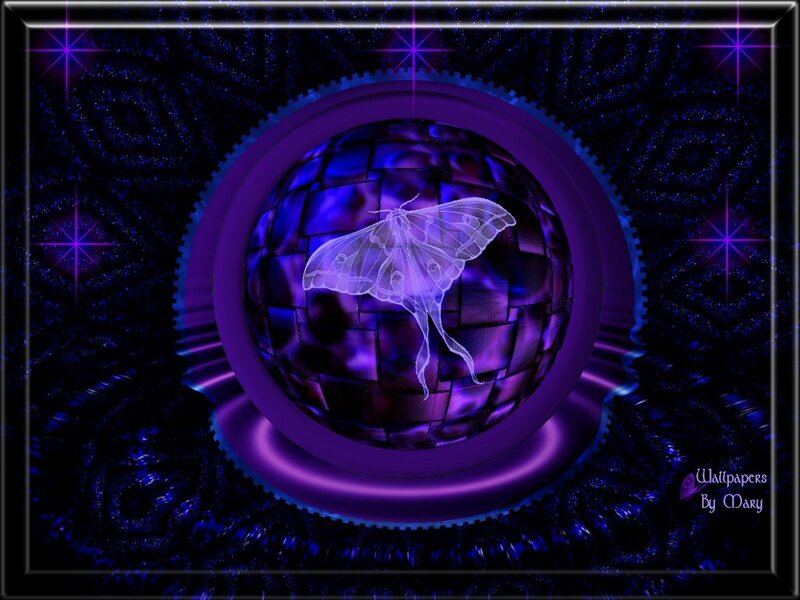 Luna Moth in Sphere