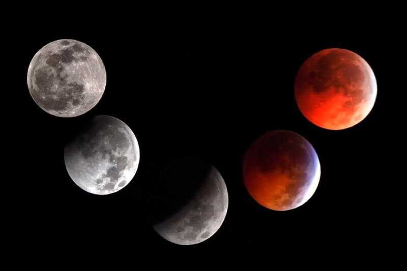 Lunar Eclipse Phases