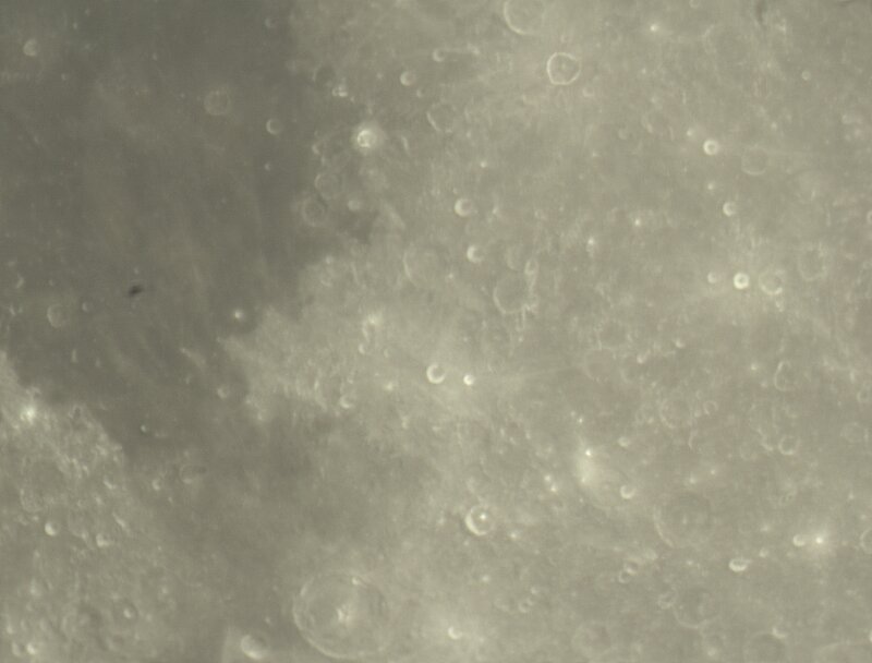 Lunar Surface with Craters — Gray, Neutral