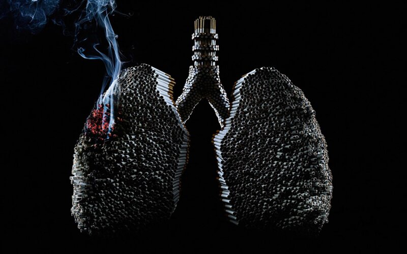 Lungs Made of Cigarettes