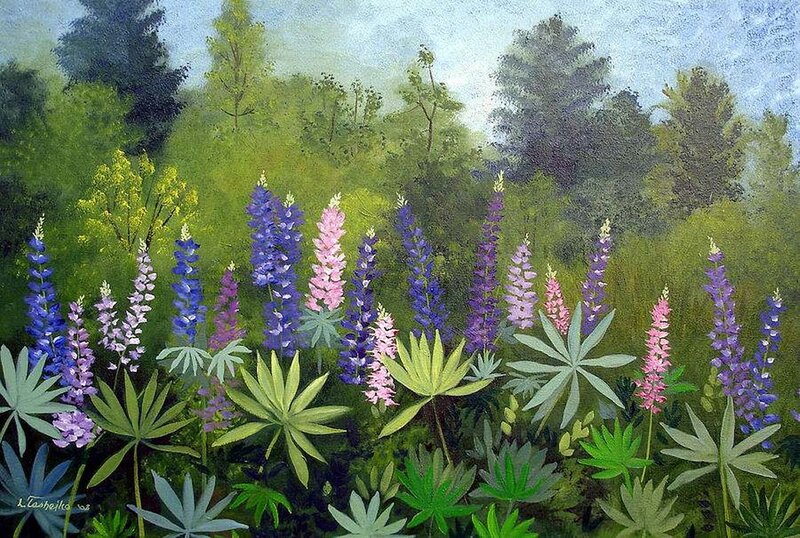 Lupine Flowers in Field — Green, Serene