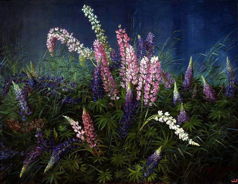 Lupine Flowers in Field — Purple, Dramatic