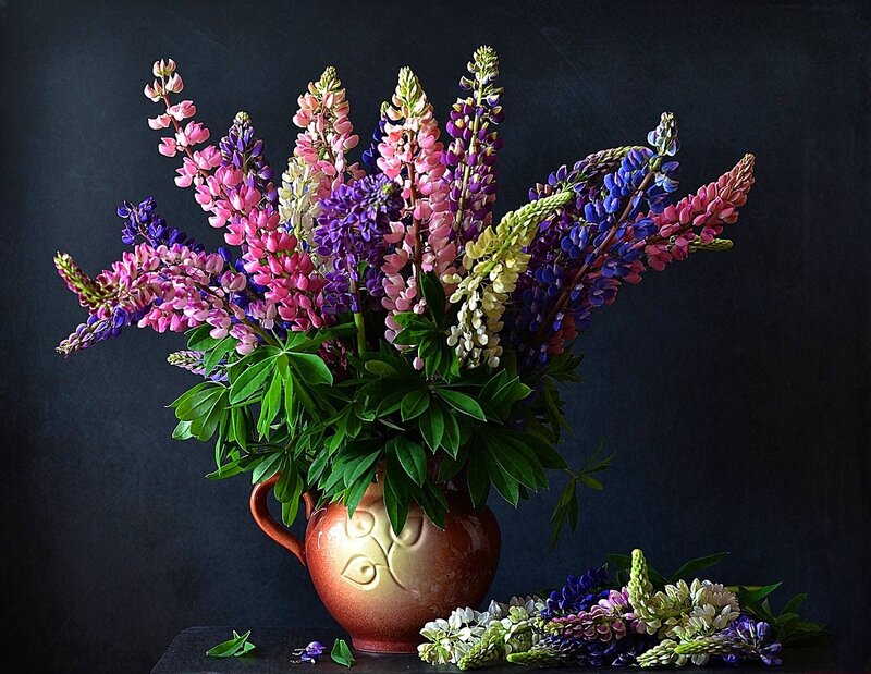 Lupine Flowers in Vase — Purple, Dramatic, Photograph