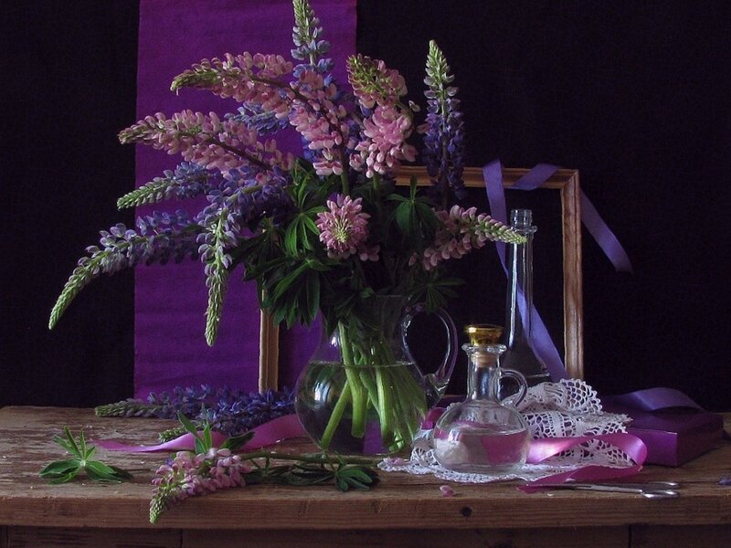 Lupine Flowers in Vase — Purple