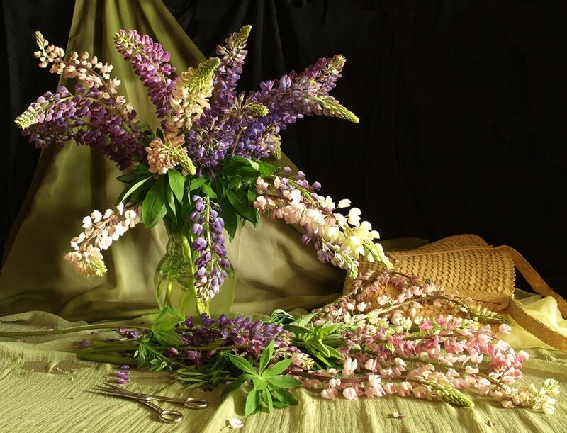 Lupine Flowers in Vase