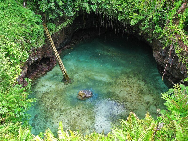 lush cave pool with ladder