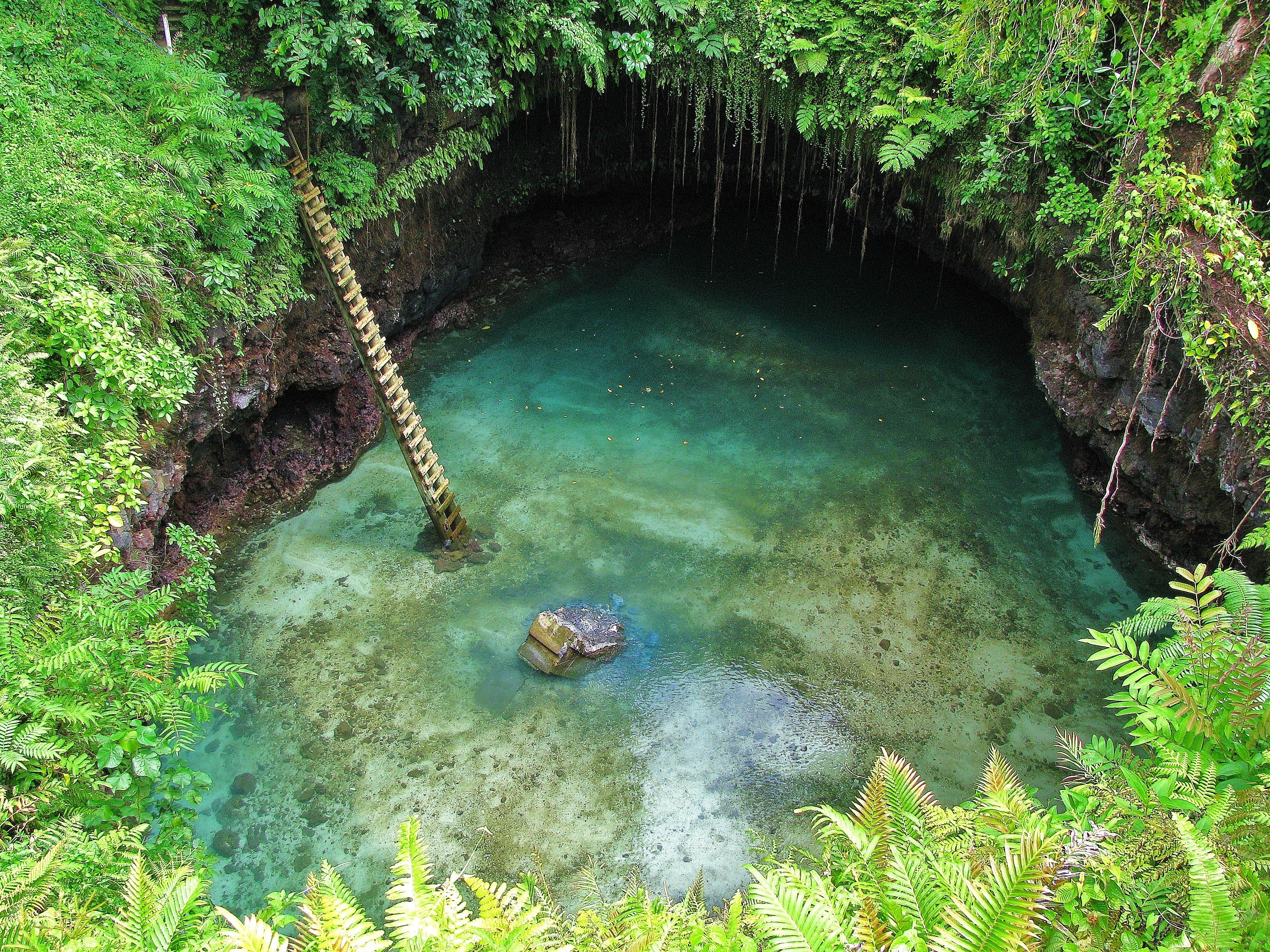 lush cave pool with ladder