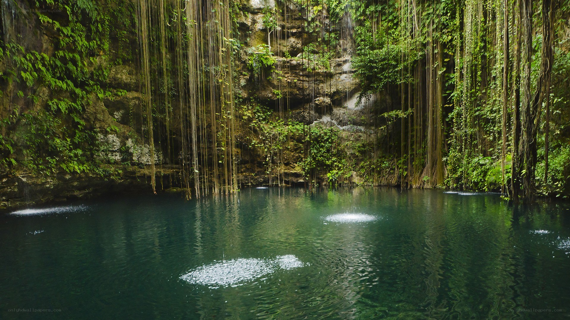 lush cenote with hanging vines