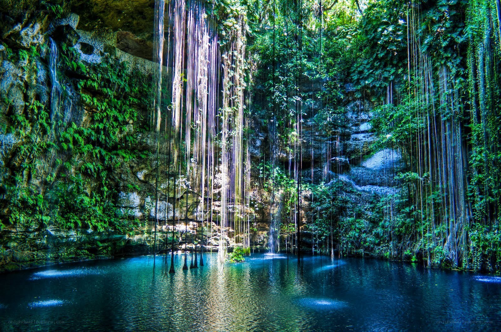 lush cenote with hanging vines