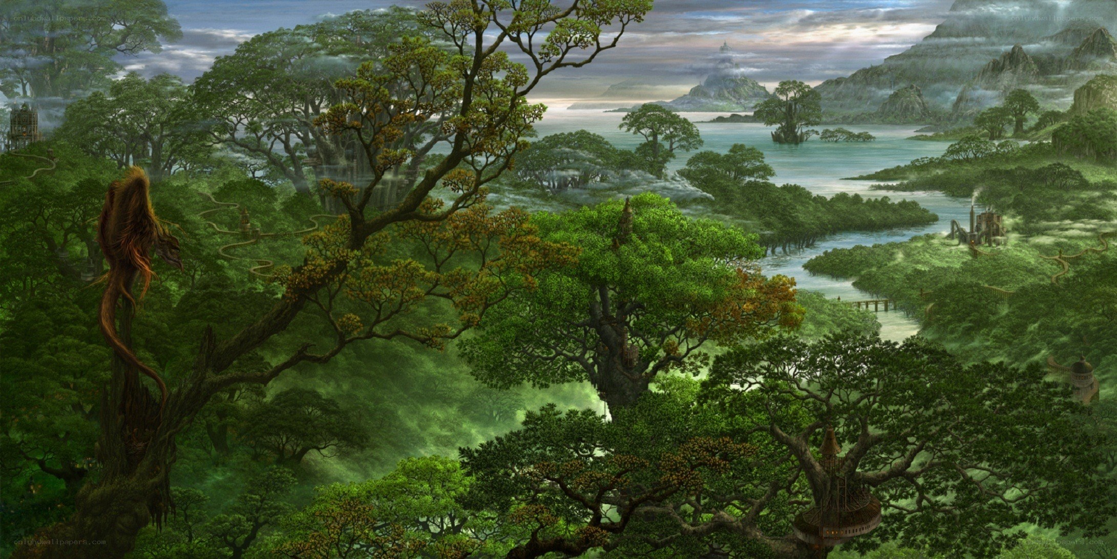 lush fantasy forest landscape
