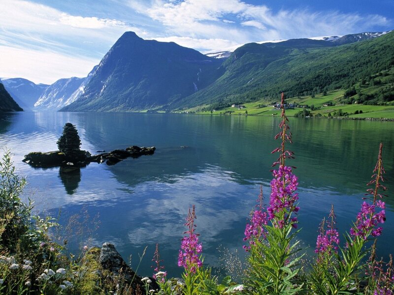 Lush fjord with purple flowers