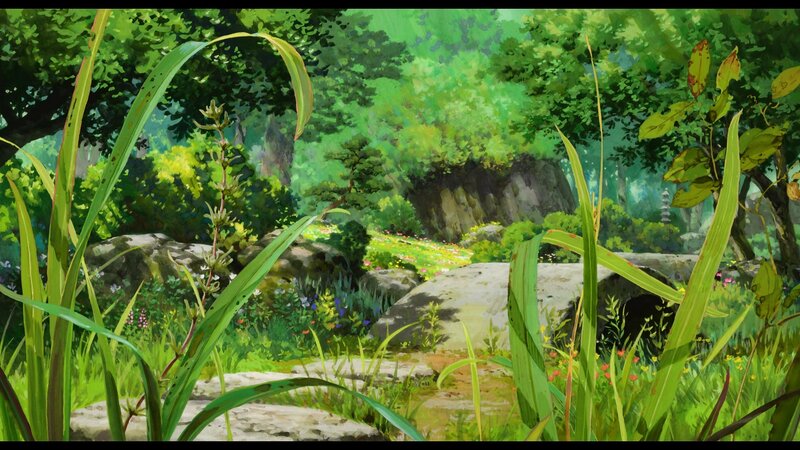Lush Forest Clearing