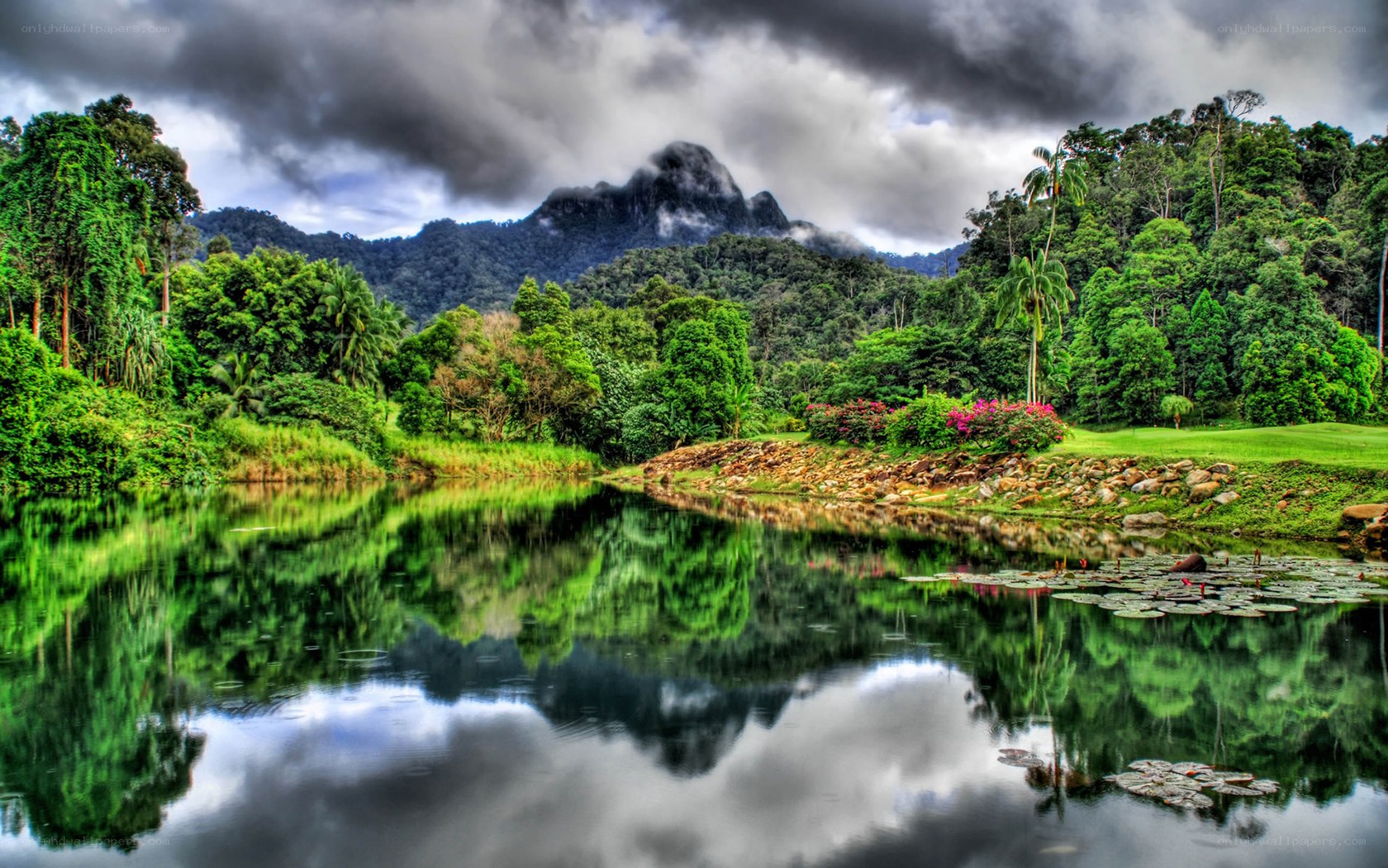 Lush forest lake with mountain reflection